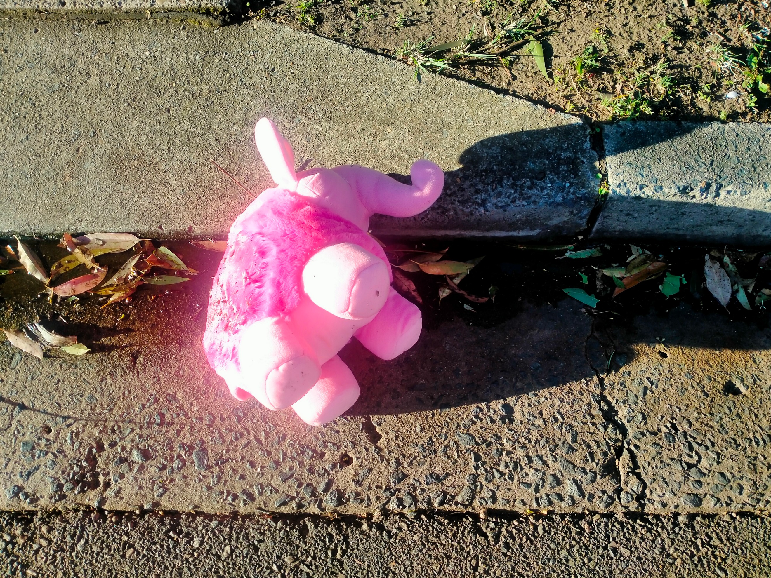 toy elephant on street